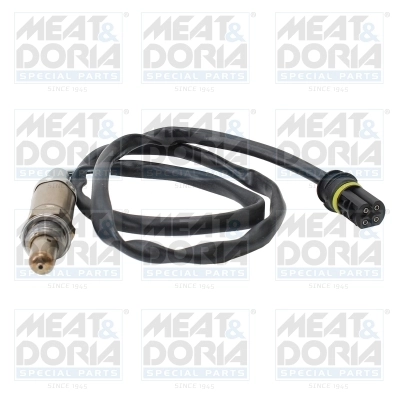 Oxygen Sensor